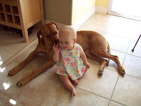 Posted by houndrat on Wednesday Jul 16, 2008 Under babies, dogs, kids, 