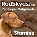 Redskyes